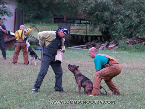 Training camp - Lukova 2007